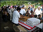 amaria-16.JPG