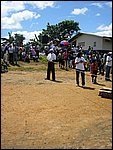 amaria-90.JPG
