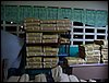 mcampcuipo05-036.JPG