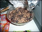 dadamela-026.JPG