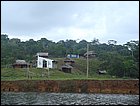 guasimo-008.JPG
