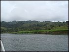 guasimo-015.JPG