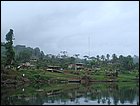 guasimo-024.JPG