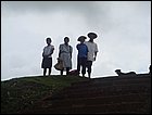 guasimo-028.JPG