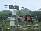 guasimo-029.JPG