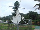 guasimo-030.JPG