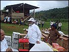 guasimo-032.JPG