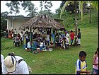 guasimo-033.JPG