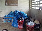 guasimo-036.JPG