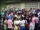 guasimo-039.JPG