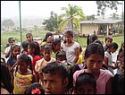 guasimo-043.JPG
