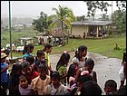 guasimo-044.JPG