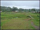 guasimo-053.JPG