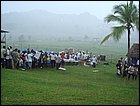 guasimo-054.JPG