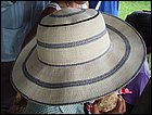 guasimo-058.JPG