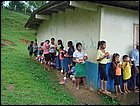 guasimo-059.JPG