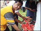 guasimo-067.JPG