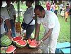 guasimo-068.JPG
