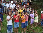 guasimo-074.JPG