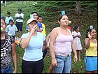guasimo-087.JPG