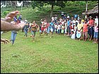 guasimo-093.JPG
