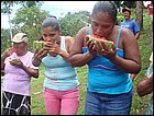 guasimo-097.JPG