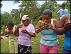 guasimo-098.JPG