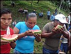 guasimo-099.JPG