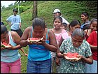 guasimo-100.JPG
