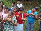 guasimo-101.JPG