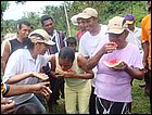 guasimo-102.JPG