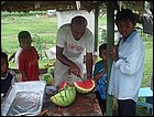 guasimo-108.JPG