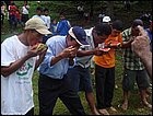 guasimo-109.JPG