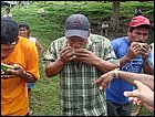 guasimo-112.JPG
