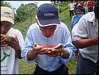 guasimo-114.JPG