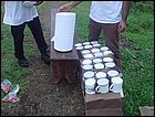guasimo-126.JPG