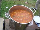 guasimo-127.JPG