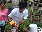 guasimo-129.JPG