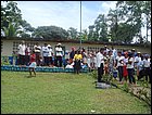 guasimo-132.JPG