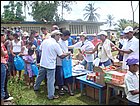 guasimo-134.JPG