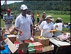 guasimo-138.JPG