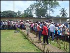 guasimo-141.JPG