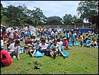 guasimo-147.JPG