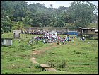 guasimo-149.JPG