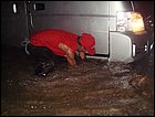 guasimo-157.JPG