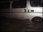 guasimo-160.JPG