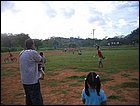 icacal-097.JPG