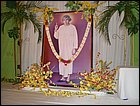 scamp07-026.JPG