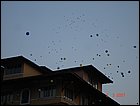 walkathon-090.JPG