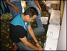 bts-63.JPG
